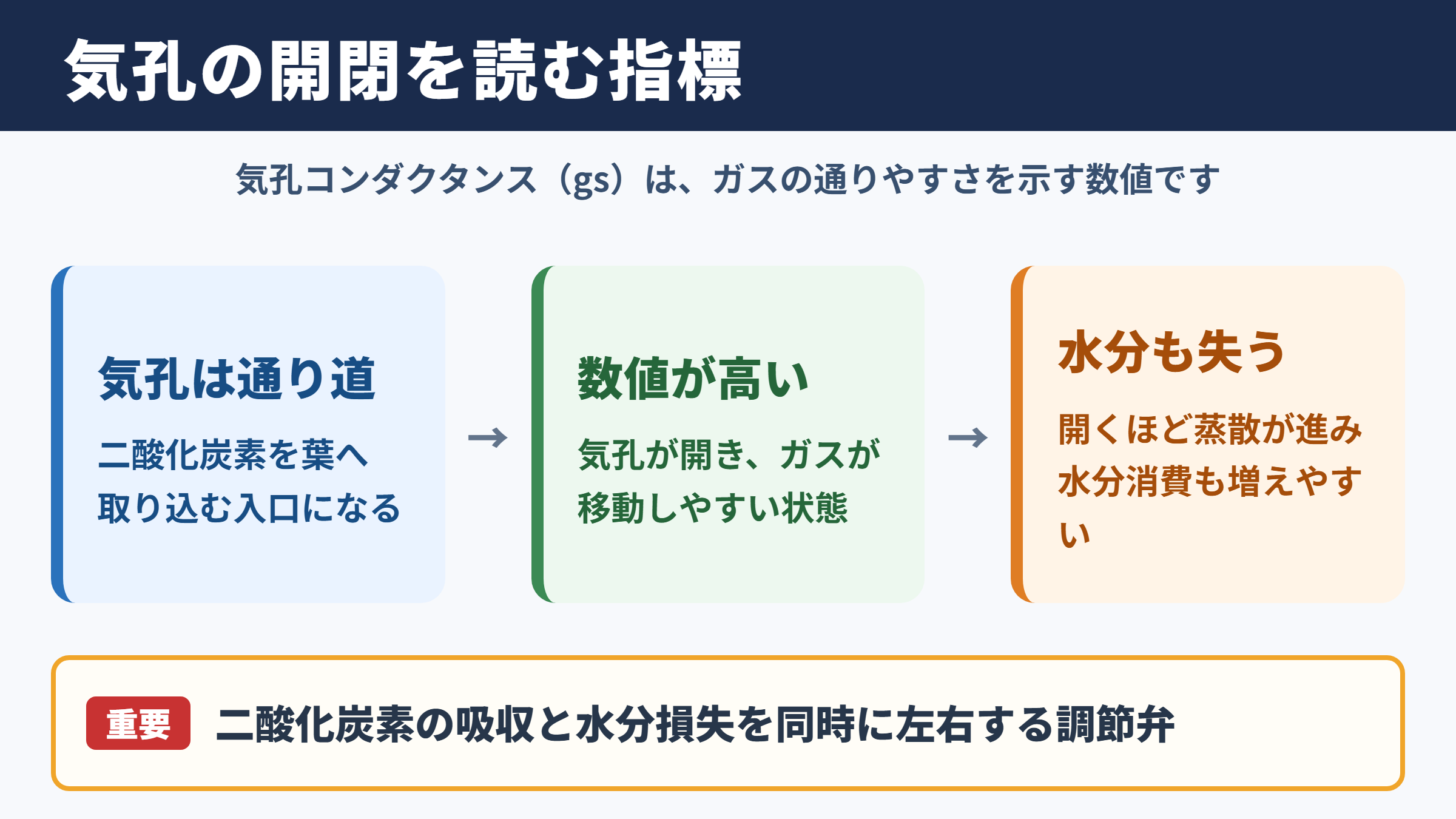 気孔コンダクタンスの意味と植物における役割