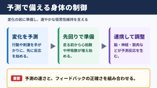フィードフォワード制御と生理学の関係