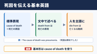 死因の英語表現と基本用法