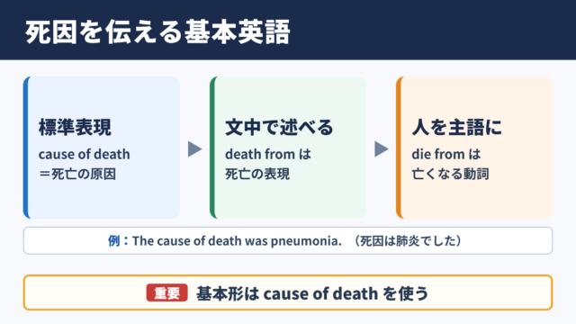 死因の英語表現と基本用法