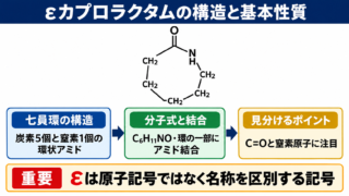 εカプロラクタムの構造と基本性質