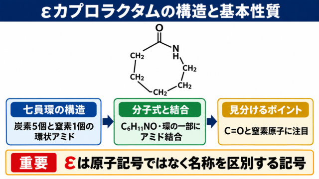 εカプロラクタムの構造と基本性質
