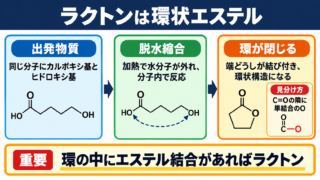 ラクトンの意味と環状エステルの基本構造